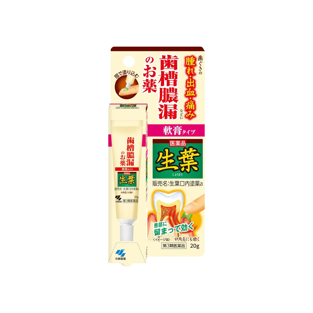 [고바야시] 생엽 구강용 연고 20g